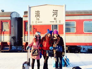 哈爾濱 冰雪大世界 亞布力 漠河 北紅村 北極村