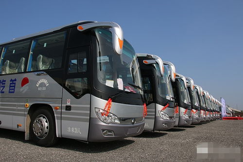 北京首汽租車 汽車租賃行業領跑者