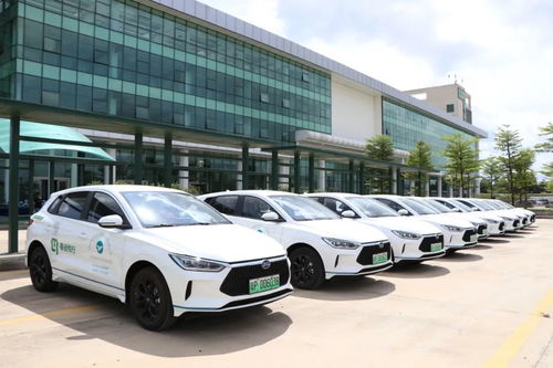 河源又一座客運配客站啟用 往返廣深佛莞惠 路線及班次在這