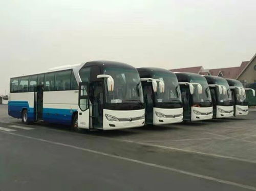 圖 北京 8 28座新車 旅游包車 商務 會議 接機 班車 北京租車