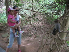 三亞五天包車自助游