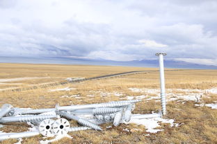 北疆尋秋 12天包車自助游