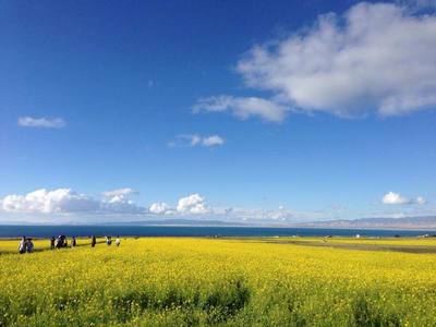 張掖旅游包車電話-張掖旅游汽車代駕