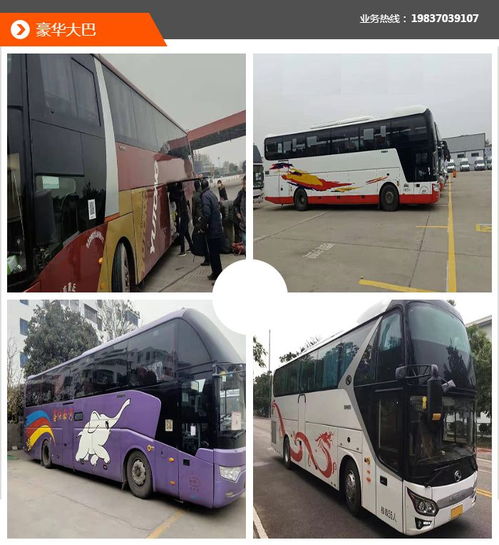 包車 晨風包車車況好 包車費用