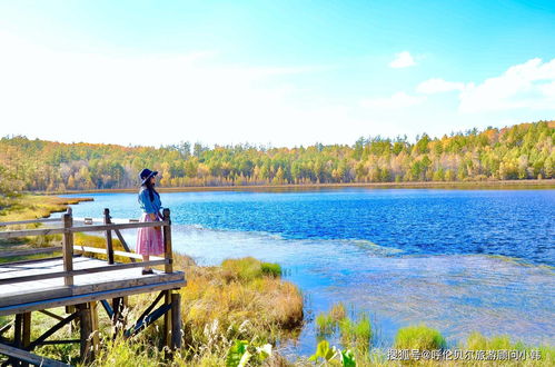 呼倫貝爾大草原是包車好還是自駕好 內蒙古大草原旅游攻略 自由行
