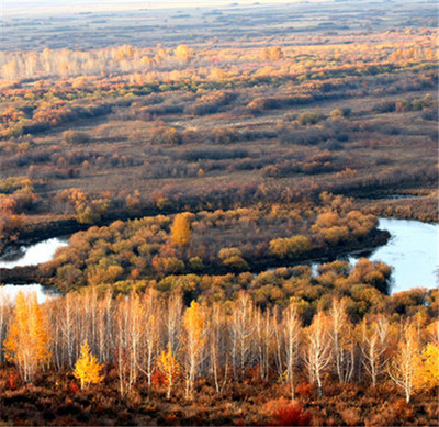 倫貝爾哪個旅游包車師傅好 -呼倫貝爾旅游包車,呼倫貝爾旅游租車,呼倫貝爾自助游包車-產品頻道-金泉網