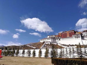 一個人的春節年假包車游珠峰 40冰川