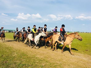 呼倫貝爾旅游攻略之 包車自由行游記美圖