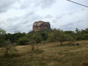 七月斯里蘭卡 包車自助游