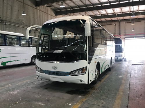 2024年新疆旅游自由行租車游 包車 價格明細