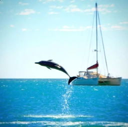 我的西澳十天包車自助游體驗