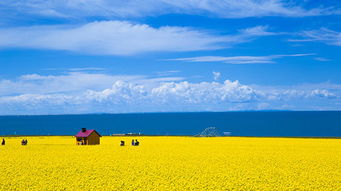 青海旅游包車自由行
