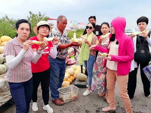 新疆之美.無論以何種方式呈現(xiàn).都從未讓人失望,新疆自助游攻略,新疆旅游攻略,烏魯木齊旅游攻略
