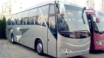 長沙到鳳凰自由行直通車 送隨車導游講解,天天發班