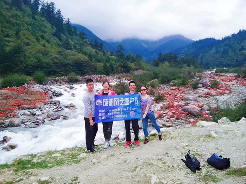 【西藏自由行,拼車,包車結伴自助游】