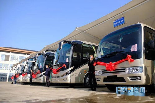 汨羅市客運公司全面復工復產,這幾點需注意