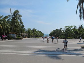 三亞五天包車自助游