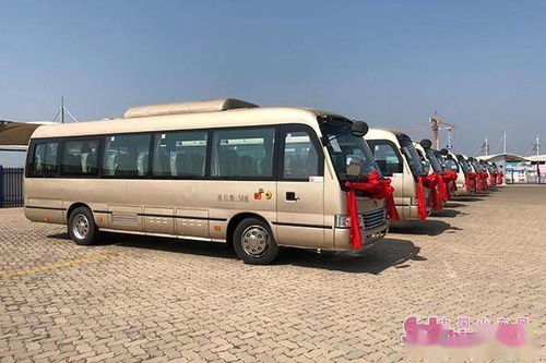 長島新增10輛縣內(nèi)旅游包車 滿足游客個性化出行需求