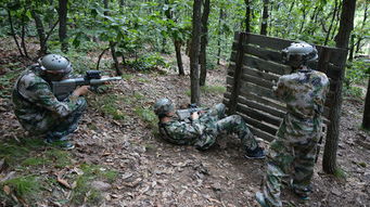 大連金石灘包車一日游 大連金石灘包車服務(wù) 自助游,多種車型任選