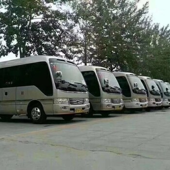 惠東縣旅游包車服務 便捷自助，暢游無憂