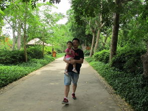 三亞五天包車自助游攻略 自由行包車全指南