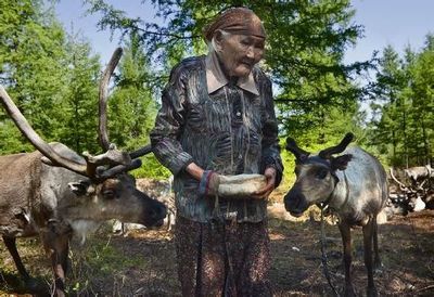 呼倫貝爾草原之旅 室韋、白鷺島、敖魯古雅、滿洲里包車自助游全攻略