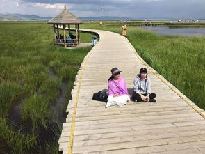 成都至九寨溝包車自助游攻略 暢游若爾蓋的完美行程