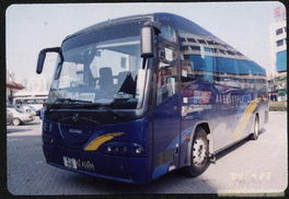 深圳旅游包車服務 解鎖自助游的便捷與自由新體驗